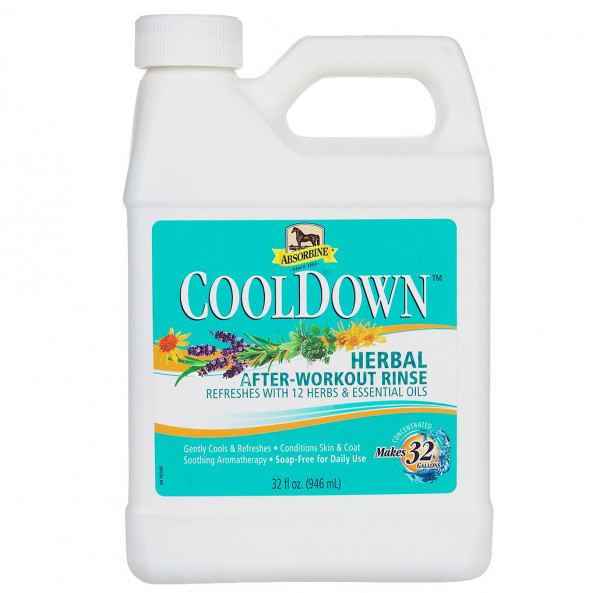 Absorbine Cool Down Waschlotion 946ml